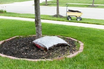 Mulch May Save Your Landscape and Increase Property Value