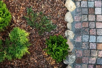Mulch May Save Your Landscape and Increase Property Value