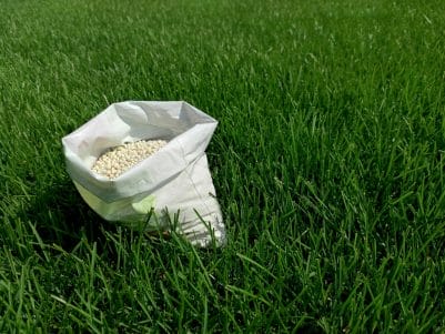 4 Tips For Healthy Green Grass