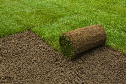 Repair Your Landscaping: Sod and Seed